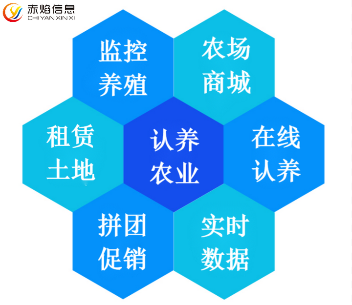 199元認養一只雞！收益20余萬元，“認養+直播”助力鄉村振興