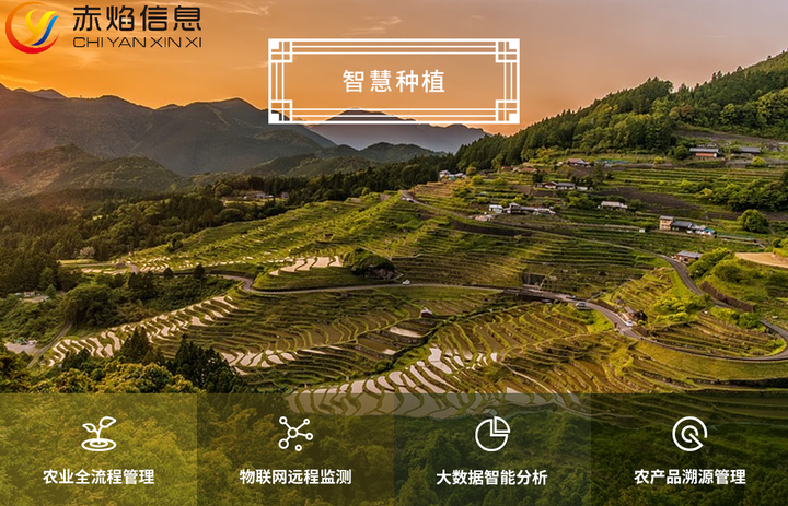 共享農(nóng)場(chǎng)：美國(guó)艾伊農(nóng)場(chǎng)經(jīng)營(yíng)二十多年，每年收益高達(dá)百萬(wàn)美元