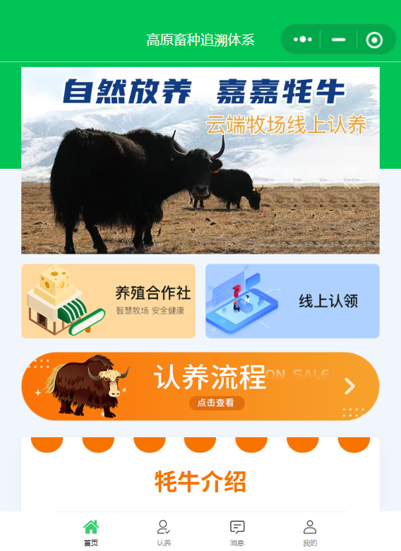 那曲藏著“牧業新解法”！杭嘉新村智慧認養模式，到底幫傳統養殖破了啥局？