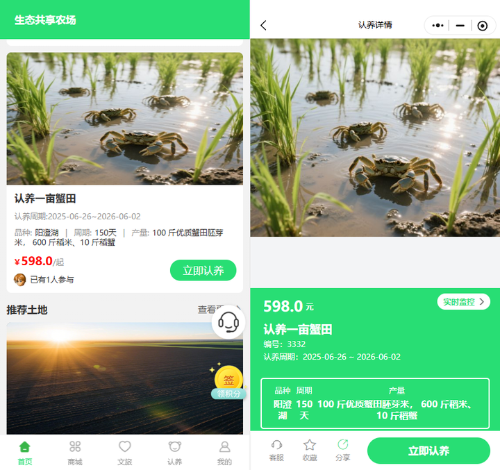 認養農業落地關鍵：肇源“有畝田”靠啥解決“源頭透明”？直播+技術雙保障