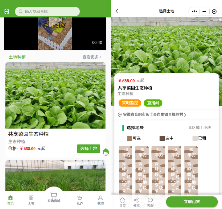 “認養(yǎng)菜園”讓農戶收入直接翻番，興慶區(qū)“私家菜園”藏啥吸引力？