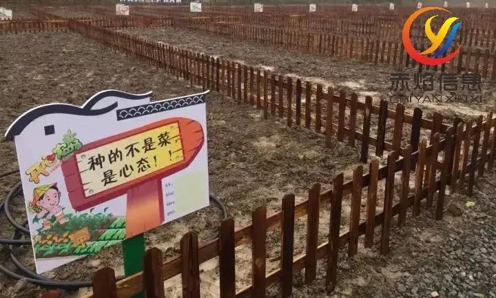 共享農場小程序，運營更方便，更值得信賴