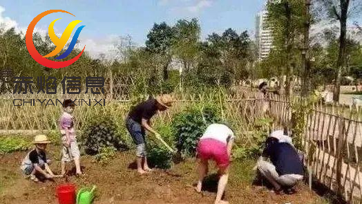 共享經濟：“認養農業”將成為共享經濟的新表現？