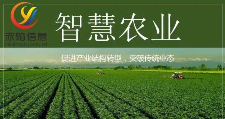 共享農(nóng)場：共享農(nóng)場的“三贏之道”，你知道嗎？