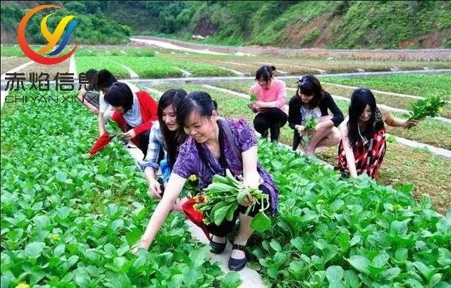共享農業，僅僅有這幾種模式嗎？還有沒有新的共享可供探索？