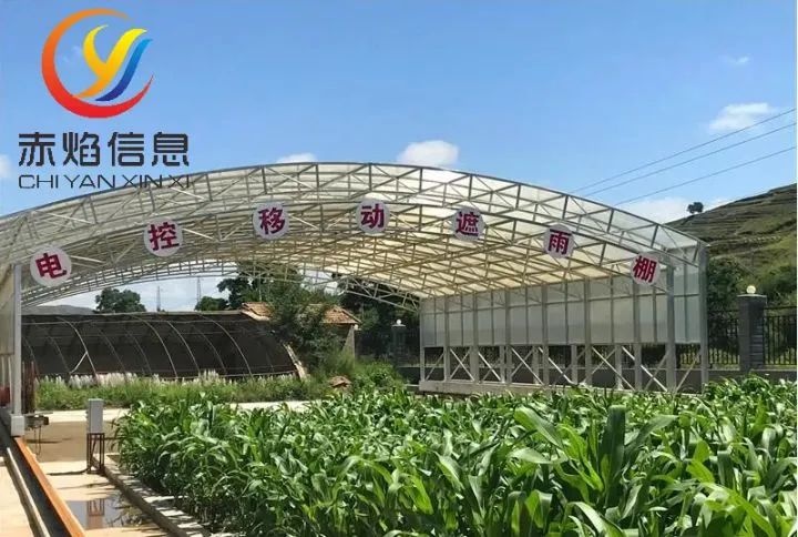 共享農業模式：認準發展方向，助力鄉村振興戰略