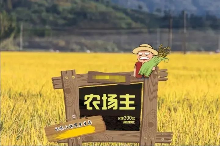 共享農場是怎么產生的？共享農場開發模式有哪幾點？