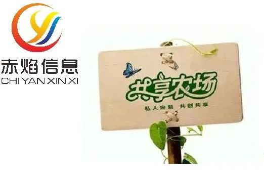 盤活農村資源，共享農場的四大功能，助力鄉村振興?