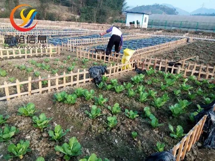 “共享農場”將成為一種新時尚，共享農場的方式又有哪些呢？