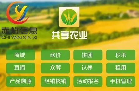 共享農場：把閑置荒廢的農房、田地有效利用起來，打造大聯盟？