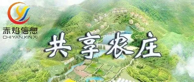 “共享農莊”成為農莊營收的重頭戲，“四贏”局面如何受益？