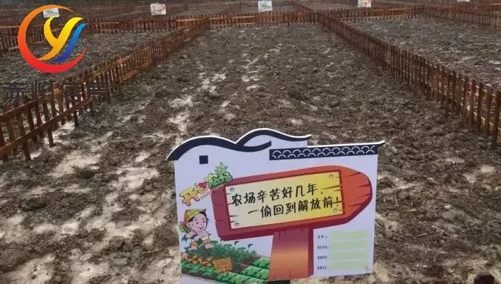 共享農(nóng)業(yè)小程序如何運(yùn)營好？