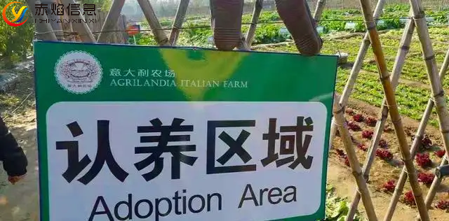 “互聯網+”時代，認養土雞共享農場開啟新模式？