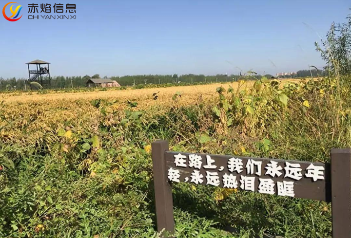 認(rèn)養(yǎng)農(nóng)場(chǎng)：可視化認(rèn)養(yǎng)農(nóng)業(yè)，多方共贏的全新嘗試