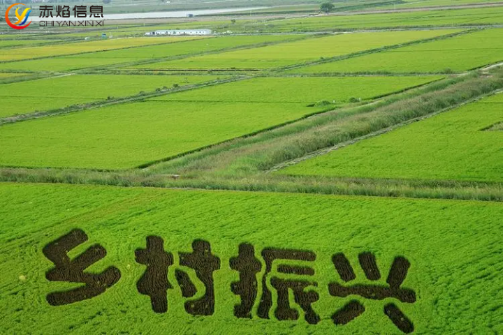 探索“互聯網+認養農業”開啟鄉村振興模式，年利潤收益120萬？